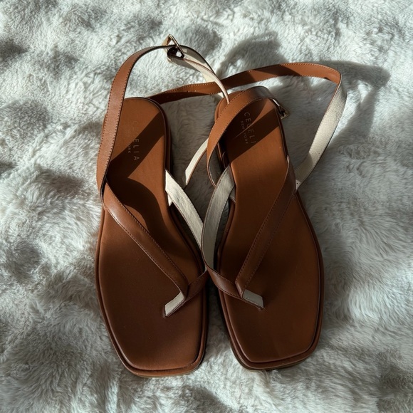 CECELIA NEW YORK Shoes - Cecelia New York Kara Sandals in Brown